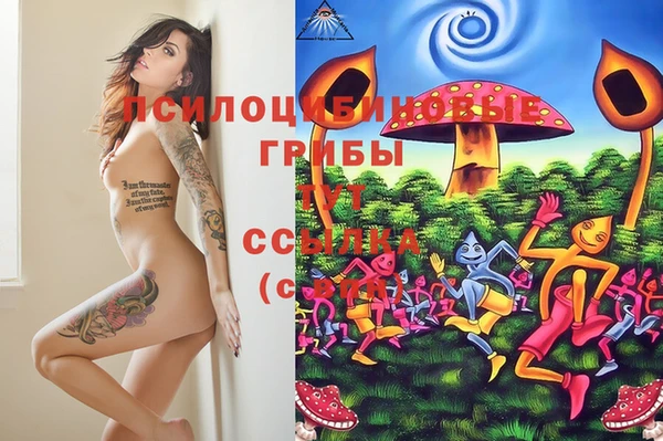 эйфоретик Алексеевка