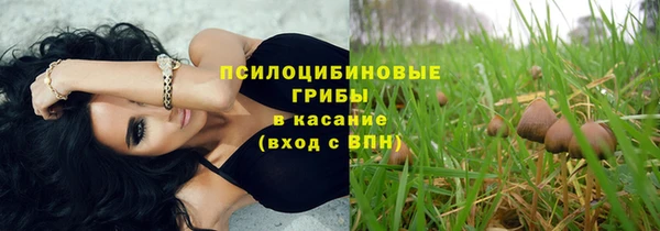 эйфоретик Алексеевка